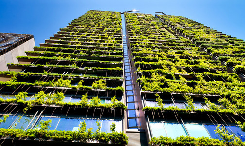 绿色摩天大楼在面对蓝色天空的外墙上种植物以对抗蓝色天空生态学和活在城市中的绿色环境概念景观生长友好图片