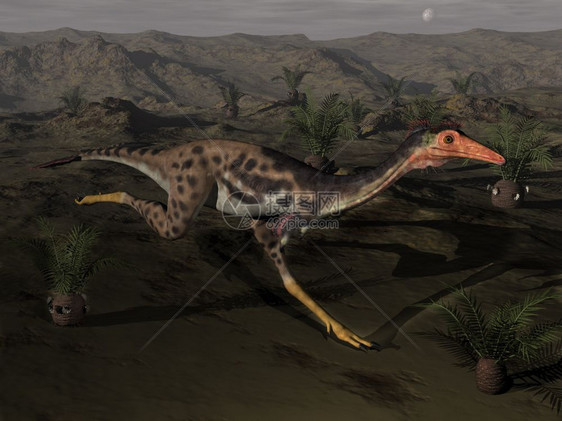 Monononykus恐龙在夜间运行周围环绕着三维3D插图苏铁自然图片