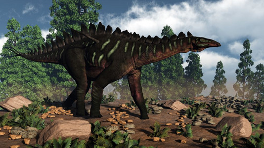 靠近米拉盖亚灭绝Miragaia恐龙白天走近松树旁3D变成Miragaia恐龙3D图片