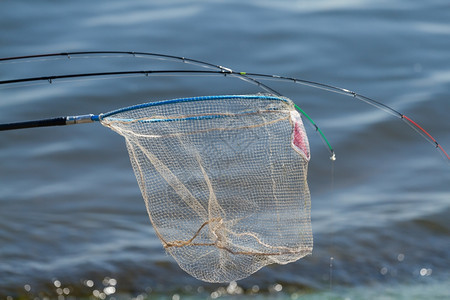 用网兜钓鱼的渔夫图片