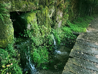 河林地西班牙美丽的绿色景观山间的天然喷泉和大量的植被西班牙美丽的绿色景观山间的天然喷泉树图片