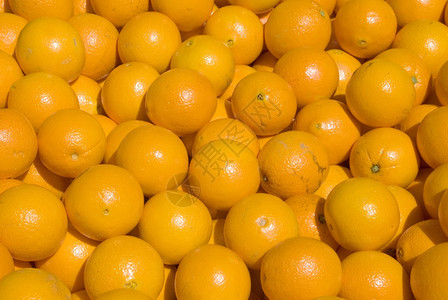 新摘的橘子图片
