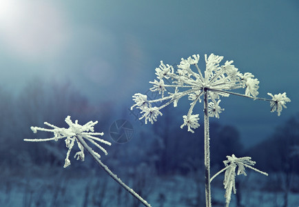 雪堆冻结的冬季现场天空蓝色的图片