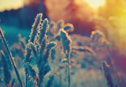 场景雪花冻结的冬季现场雪堆图片