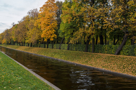 公园运河边的秋季风光图片