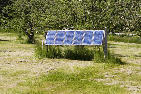 在华盛顿州一个偏远离电网的岛屿上草地和树形成的绿色背景面前一组太阳能电池成了一太阳能电池正面拉根活力图片