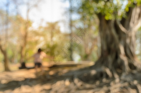 重点具有阳光背景的模糊抽象自然绿地公园树干孩子背景图片