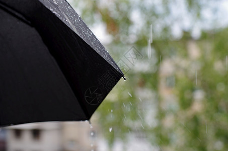 雨水中的黑色雨伞图片