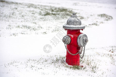 泵乡村的一种雪中个红火水合干玉米卷图片