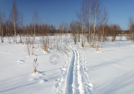 冬季森林雪山图片