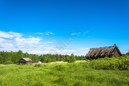 户外俄罗斯Kostroma州一个夏日与死村Burdovo的景观在俄罗斯科特马州布尔多沃废墟图片