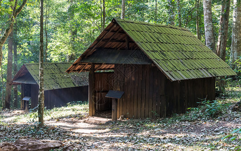 村庄哪一个遗弃在泰国森林中的老木屋旧的图片