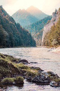 风景在日落Dunajec河之前美丽的自然景观在Pienny山的TrzyKorony三冠峰脚下溪流顶图片