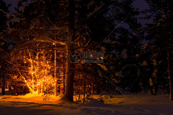 在树林中静的冬天夜晚有很多雪神秘的光芒来自树上的花园冬季白雪森林和树上加兰的木之夜拉普兰场景一种图片