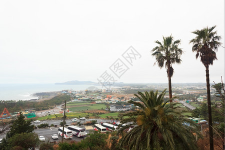 自然美丽韩国济州岛的冬季风景日出峰图片