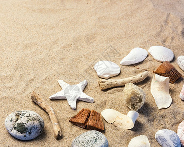 装有复制空间的沙上贝壳构成旅行海岸线框架图片