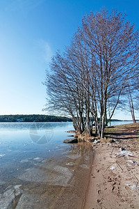 瑞典斯德哥尔摩Kanaan海滩湖边的冰户外卡南寒冷图片