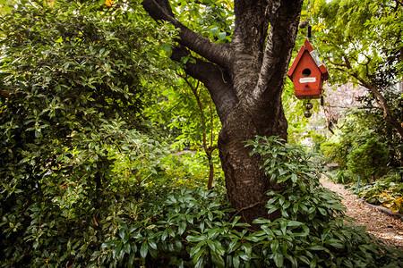 挂在公园的鸟儿之家绿色森林遵守图片