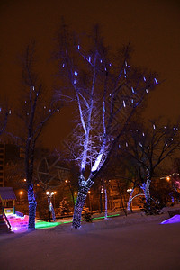 喜庆的夜晚圣诞节和新年城市的装饰为圣诞节和新年地标图片