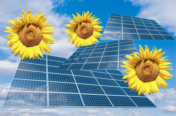 向日葵和太阳能板表达节能概念图片