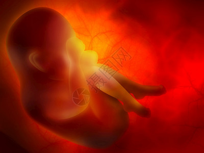 具有胚胎Embryo的医学抽象背景里面药物后代图片