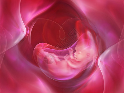 轮廓具有胚胎的医学抽象背景怀孕插图图片