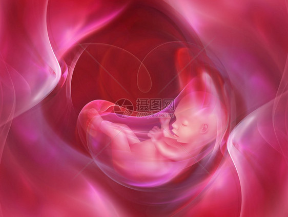 轮廓具有胚胎的医学抽象背景怀孕插图图片