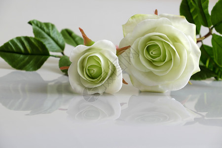 越南白色花朵反射在背景上美丽的人造工艺花朵精巧手工艺品美丽而有技巧的花朵越南精彩图片