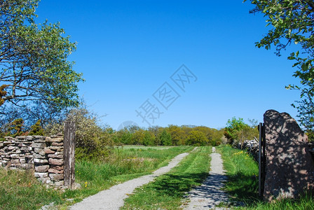 蓝色的农村地貌绿乡公路入口处的绿色乡村道路一种瑞典图片