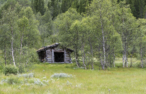 乡村的结构体绿林中Norway棕褐木棚的绿林中作为栖息地的棕色木屋自然图片