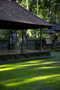 亚洲设施绿地覆盖丛林中印度教寺庙前的青苔绿色图片