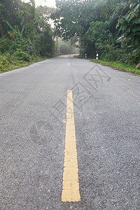 以树的山边为靶子用一块湿的方向路面质地图片