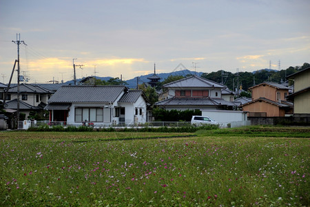 纳拉与赫里吉塔的住宅遗产宗教奈良图片