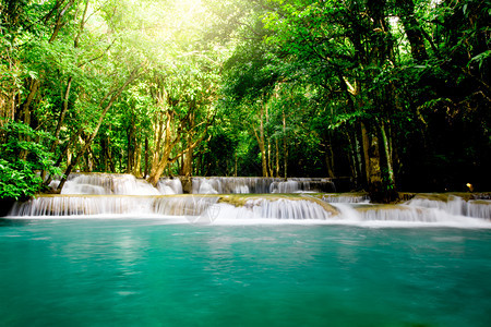 景观风优美KhueanSrinagarindra公园丰富森林的瀑布荒野图片