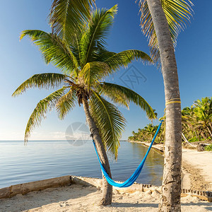 树木假期热带岛屿海滩与Hammock热带岛屿海滩吊在棕榈树上海景图片