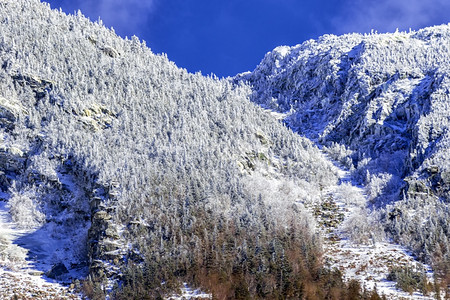 美丽冬季景观白色仙境景观雪奥尔洛夫图片