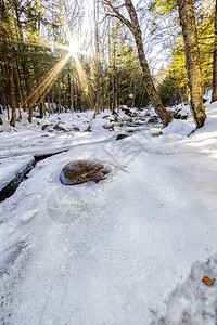 风景奥尔洛夫明亮的冬季景观白色仙境景观图片