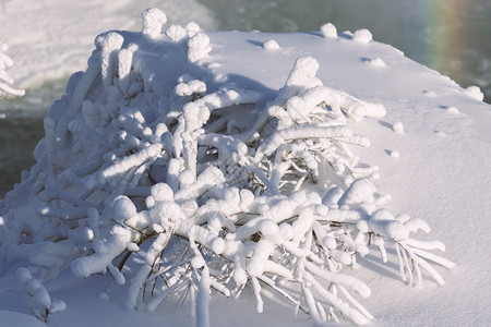 冷冻冬季景观白色仙境景观美丽的国图片