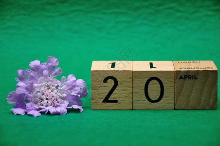 一种漂亮的4月20日用绿色背景的紫花木块板数字背景图片