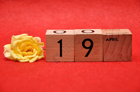 丰富多彩的美丽4月19日在红底带黄玫瑰的木制块上植物图片