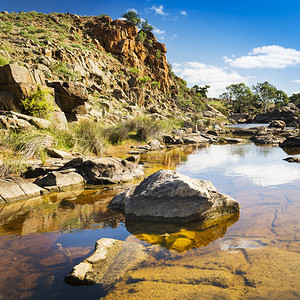 风景春天颜色澳大利亚农村外乡的美丽绿洲图片