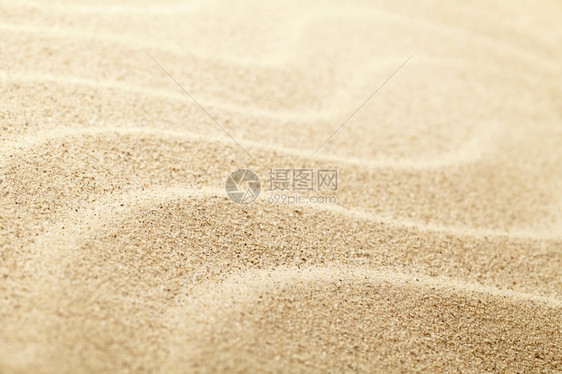 海滩桑迪沙背景夏季砂纹理宏拍摄空间复制海户外图片