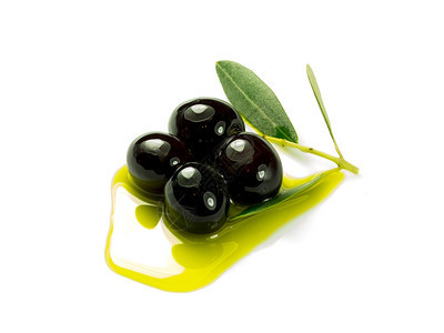 行业树叶油壶一个橄榄枝白底油上加三颗优质橄榄白底油图片