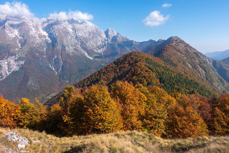 山地秋天风景森林图片