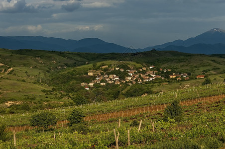 传统保加利亚语酿酒区的村庄保加利亚欧洲的Melnik地区图片