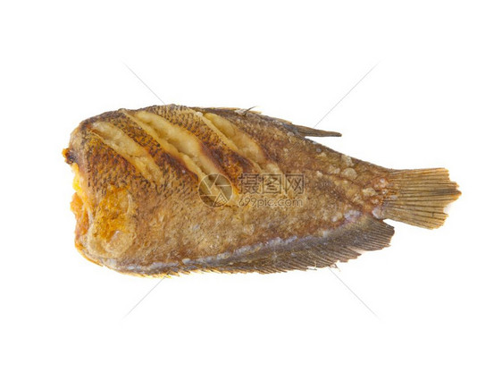 棕色的美味白背景上孤立鱼类食物吃图片