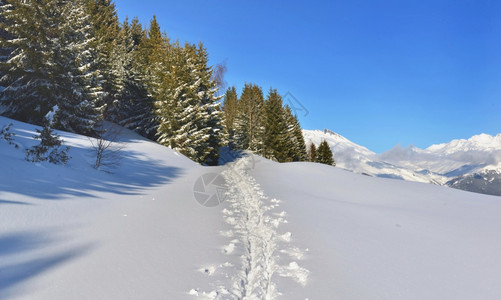 阿尔卑斯山美丽的雪景图片