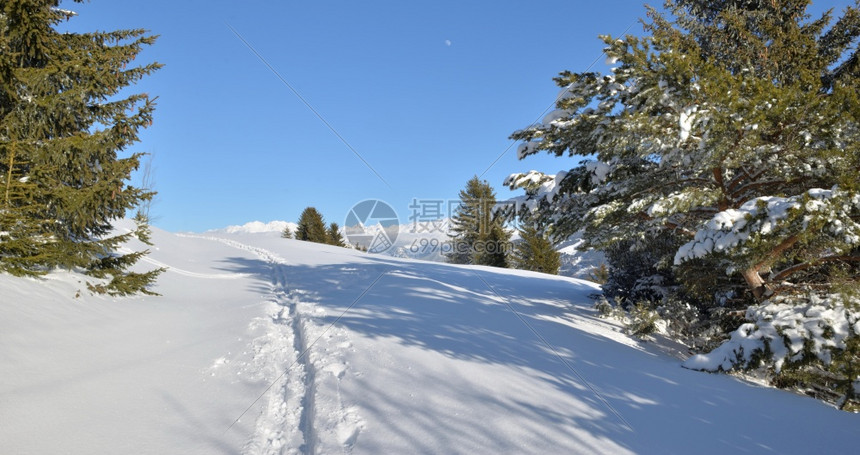 阿尔卑斯山美丽的雪景图片