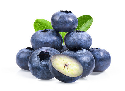 植物新鲜的营养蓝莓绿色叶子紧贴白底隔离于图片