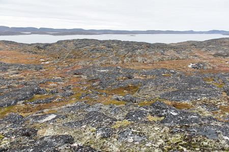 情感阿尔滕堡美丽的格陵兰岛Aasiaat周围的Aasiaat北极景观夏季地表岩石和海面图片